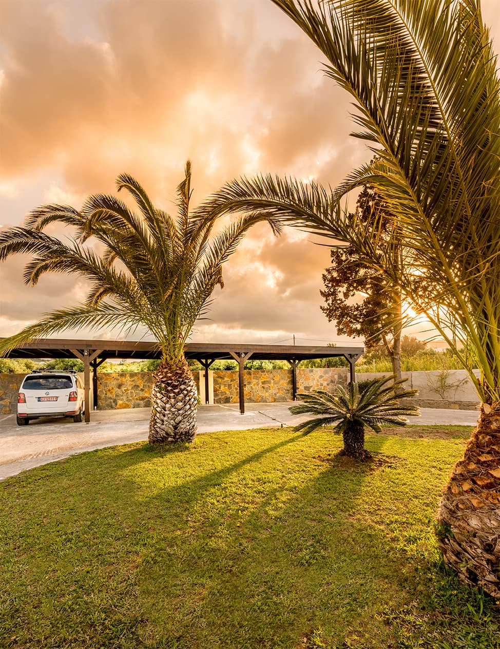 Nectar Gallery Image 43