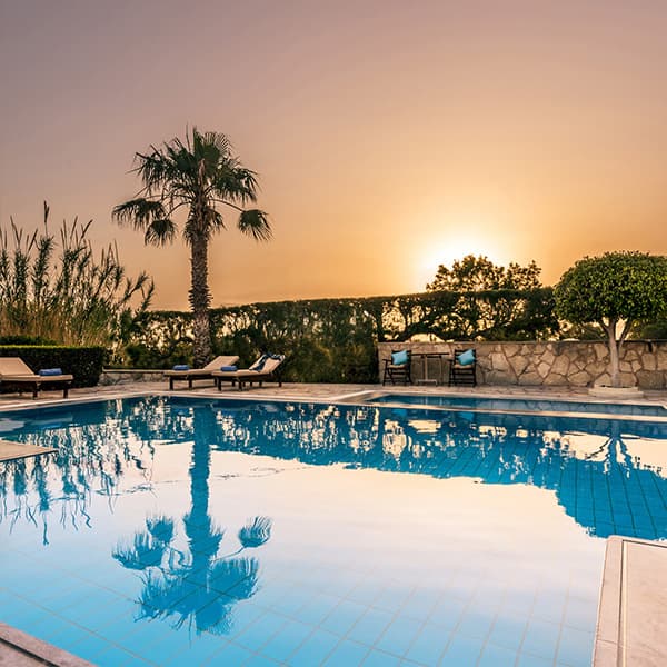 Nectar Gallery Image 20