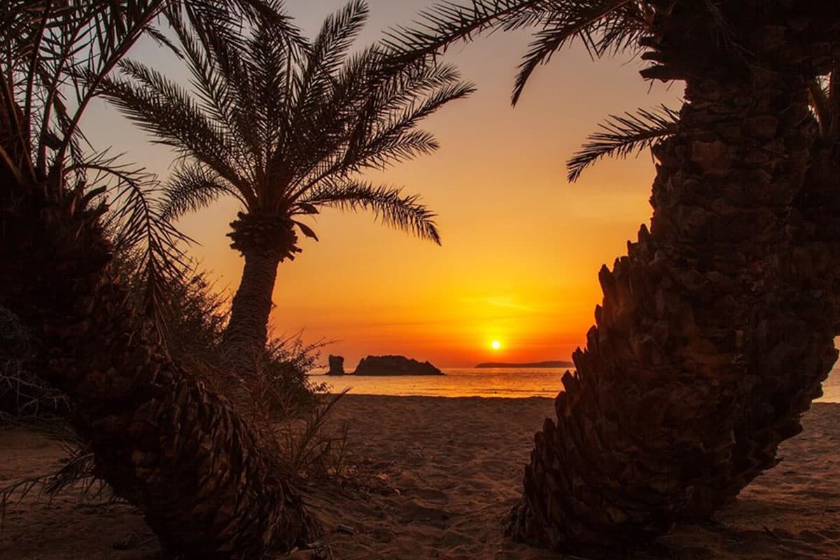 Vai Palm Beach Excursion