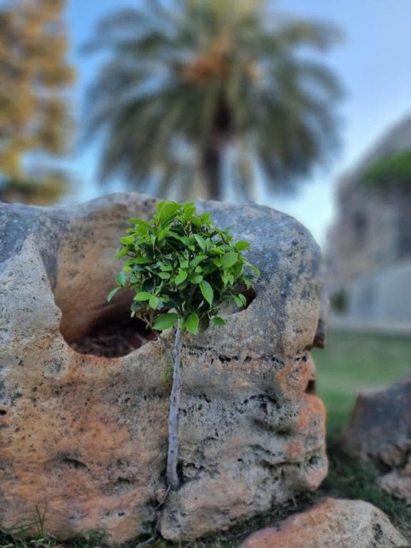 Nectar Gallery Image 70